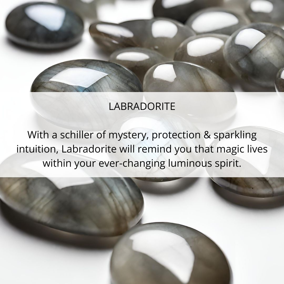 Jellyfish Earrings. Labradorite. Silver