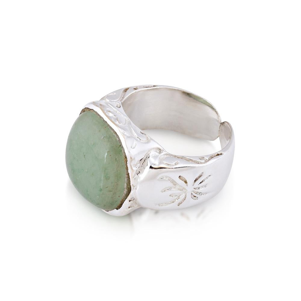 Daintree Collection