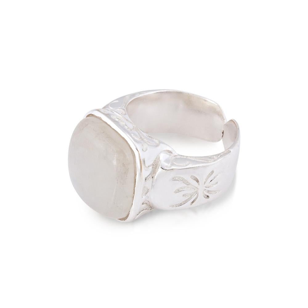 Daintree Collection